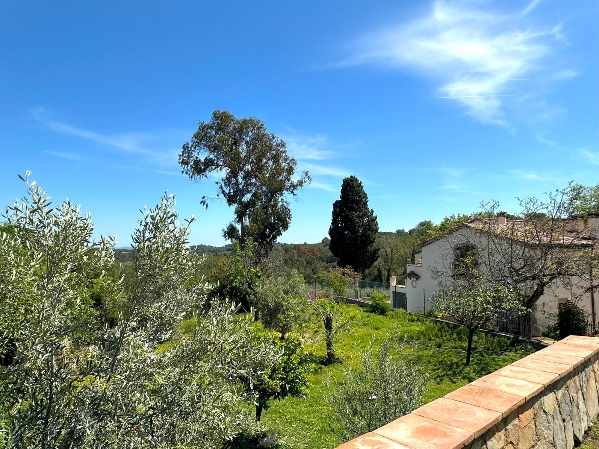 Masia Can Viver - Olive Oil Tourism B&B Bigues I Riells Exterior foto